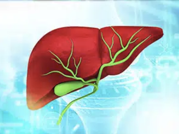 Finding the Right Targets to Treat Biliary Tract Cancers - Liver Central